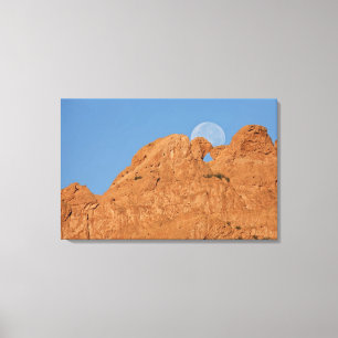 Toile États-Unis, Colorado, Colorado Springs, Jardin de