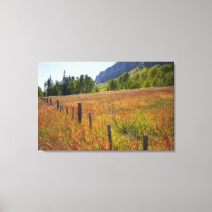 Toile États-Unis, Colorado, Forêt nationale de San Juan,