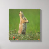 Toile États-Unis, Dakota du Sud, Parc d'État de Custer (Recto)