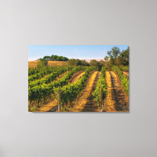 Toile États-Unis, Est de Washington, Walla Walla Vineyar