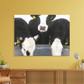 Toile États-Unis, État de New York, Vaches buvant à part (Insitu(Salon))