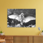 Toile États-Unis, Floride, Grande Aigrette (Ardea alba) (Insitu(Salon))