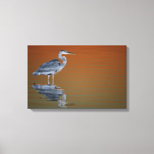 Toile États-Unis, Floride, Saint-Pétersbourg, Fort De So