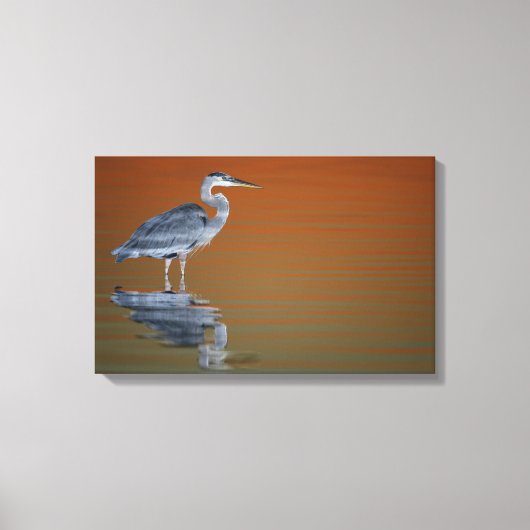 Toile États-Unis, Floride, Saint-Pétersbourg, Fort De So (Recto)