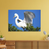 Toile États-Unis, Floride, St. Augustine, Aigrette (Insitu(Salon))