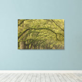 Toile États-Unis ; Géorgie ; Savannah. Chênes avec (Insitu (Plancher de Bois))