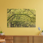Toile États-Unis ; Géorgie ; Savannah. Chênes avec (Insitu(Salon))