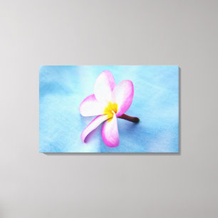 Toile États-Unis, Hawaï, Oahu, fleurs de Plumeria en fle