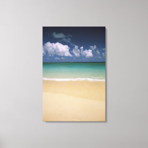Toile États-Unis, Hawaï. Scène de plage