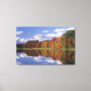 Toile États-Unis, Massachusetts, Acton. Reflet de l'auto