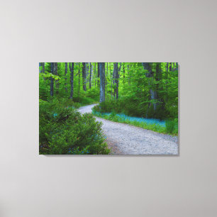 Toile États-Unis, Michigan. Chemin à travers les bois