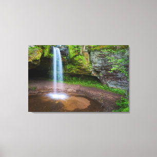 Toile États-Unis, Michigan. Chutes de Scott dans le Mich