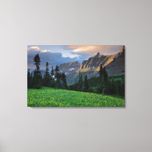 Toile États-Unis, Montana, Glacier National Park, Logan