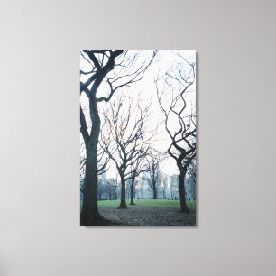 Toile États-Unis, New York, New York City : Central Park