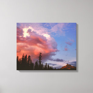 Toile États-Unis, Oregon, Forêt nationale d'Umpqua. Orag