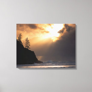 Toile États-Unis, Oregon, près du parc d'État Oswald Wes