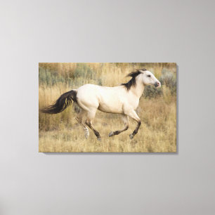 Toile États-Unis, Oregon, Seneca, Ranch Ponderosa. Cheva