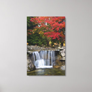 Toile États-Unis, Redmond, Washington. Couleurs d'automn