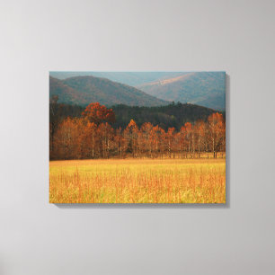 Toile États-Unis, Tennessee. Cades Cove dans Smoky Mount