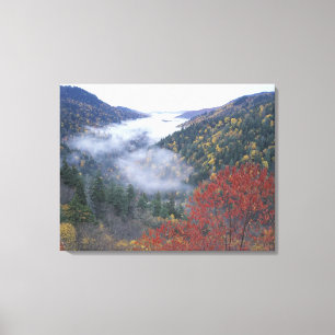 Toile États-Unis, Tennessee, Great Smokey Mountains Nati