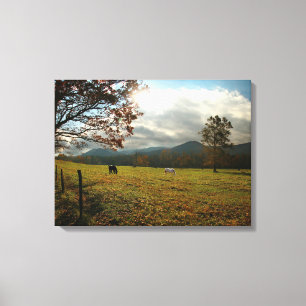 Toile États-Unis, Tennessee. Horses in Cades Cove Valley
