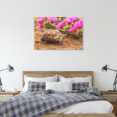Toile États-Unis, Texas, comté de Hidalgo. Tortue (Insitu(Chambre))