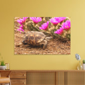 Toile États-Unis, Texas, comté de Hidalgo. Tortue (Insitu(Salon))