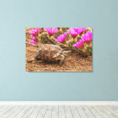 Toile États-Unis, Texas, comté de Hidalgo. Tortue (Insitu (Plancher de Bois))