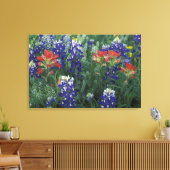 Toile États-Unis, Texas Hill Country. Bluebonnets et (Insitu(Salon))