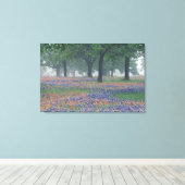 Toile États-Unis, Texas, Texas Hill Country (Insitu (Plancher de Bois))