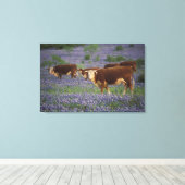 Toile États-Unis, Texas, Texas Hill Country, Hereford (Insitu (Plancher de Bois))