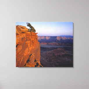 Toile États-Unis, Utah, Dead Horse Point SP. Lumière tar