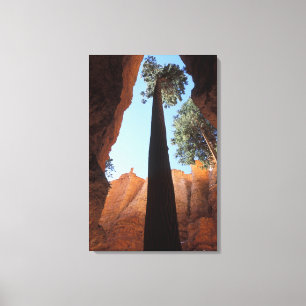 Toile États-Unis, Utah, Parc national de Bryce Canyon. H