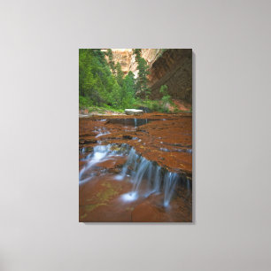 Toile États-Unis, Utah, Parc national de Zion. Scénique