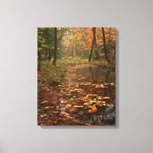 Toile États-Unis, Virginie, Automne au parc d'État de Do