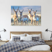 Toile Etats-Unis, Wyoming, quatre dollars d'antilope Pro (Insitu(Chambre))