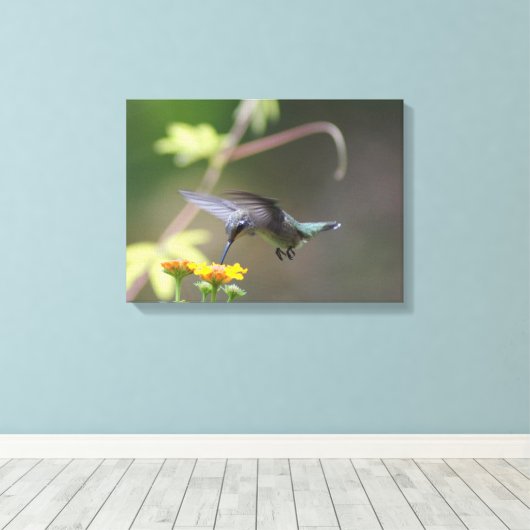 Toile Été Hummer (Insitu (Plancher de Bois))
