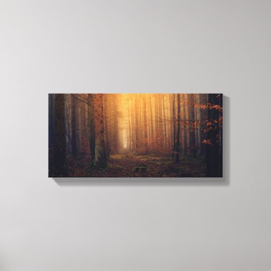 Toile étirée (Recto)