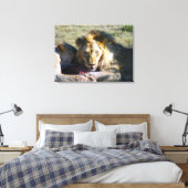Toile étirée Lion Stare (Insitu(Chambre))