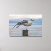 Toile Étirement (Recto)