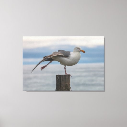 Toile Étirement (Recto)