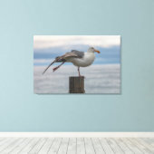 Toile Étirement (Insitu (Plancher de Bois))