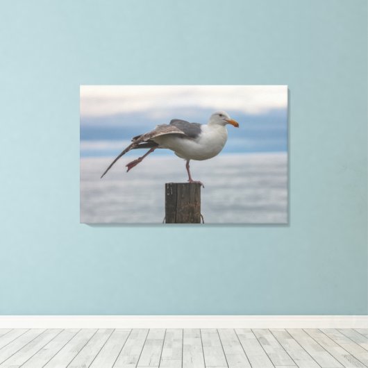 Toile Étirement (Insitu (Plancher de Bois))