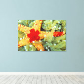Toile Étoile de mer rouge et jaune 2 (Insitu (Plancher de Bois))