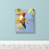 Toile Étonnant colibri roux au soleil (Insitu (Plancher de Bois))
