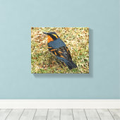 Toile Étonnante Grive variée sur la pelouse (Insitu (Plancher de Bois))