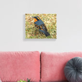 Toile Étonnante Grive variée sur la pelouse (Insitu(Salon))