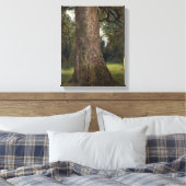 Toile Étude du tronc d'un orme, vers 1821 (huile sur (Insitu(Chambre))