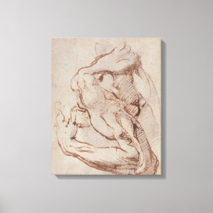 Toile Étude d'un bras Inv.1859/5/14/819