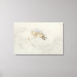 Toile Étude d'un Fox de acroupissement, faisant face au